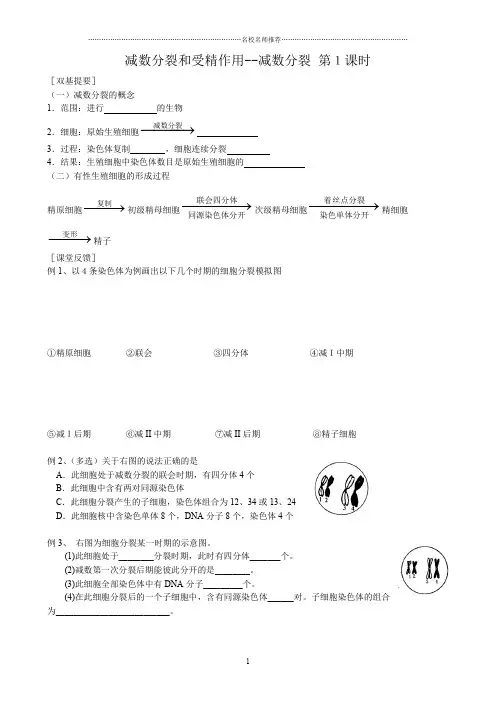 新人教版高中生物必修2减数分裂和受精作用--减数分裂精编版