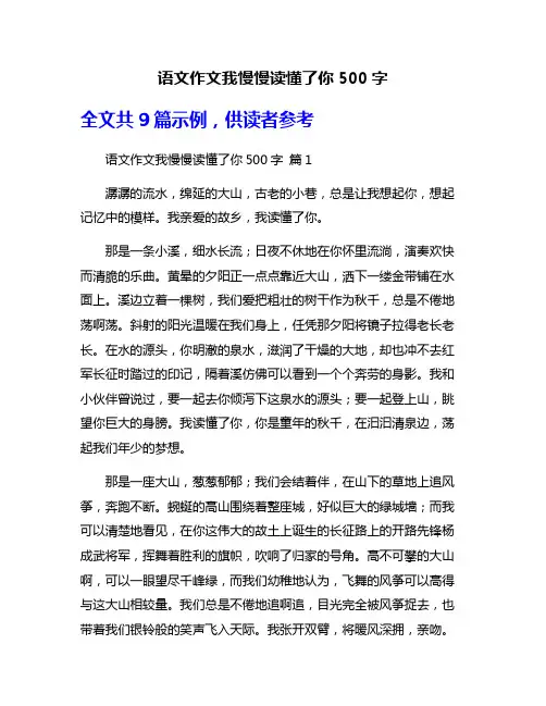 语文作文我慢慢读懂了你500字