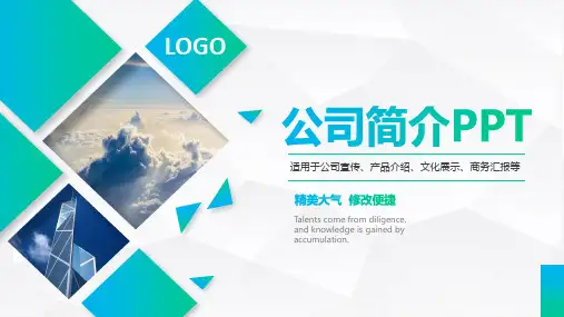 企业文化展示ppt模板