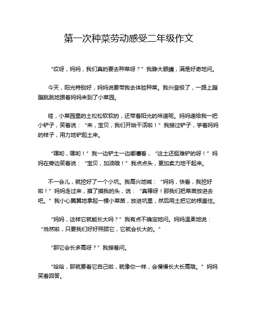 第一次种菜劳动感受二年级作文