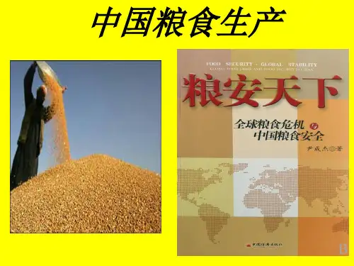 中国粮食生产