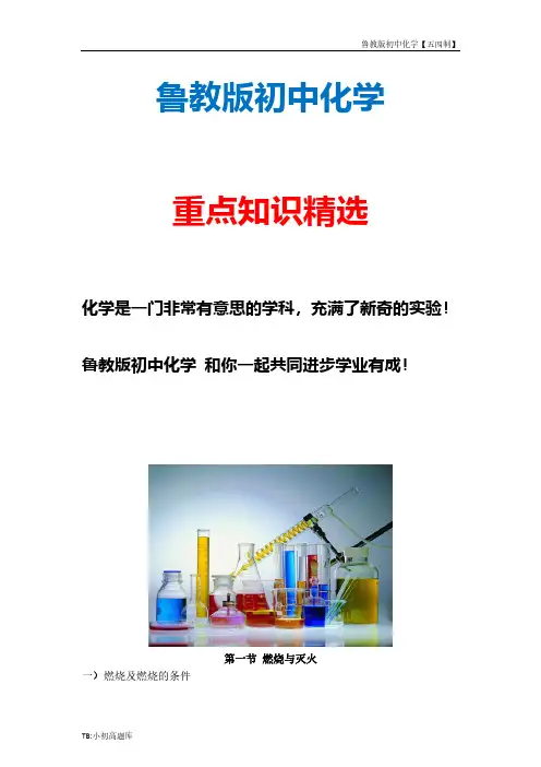 鲁教版初中化学五四制八年级全册《燃料与燃烧》典型例题
