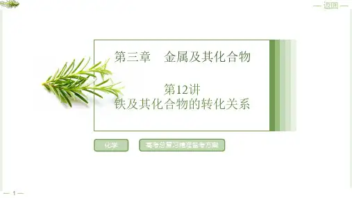 第三章第12讲铁及其化合物的转化关系2025年高考化学一轮复习
