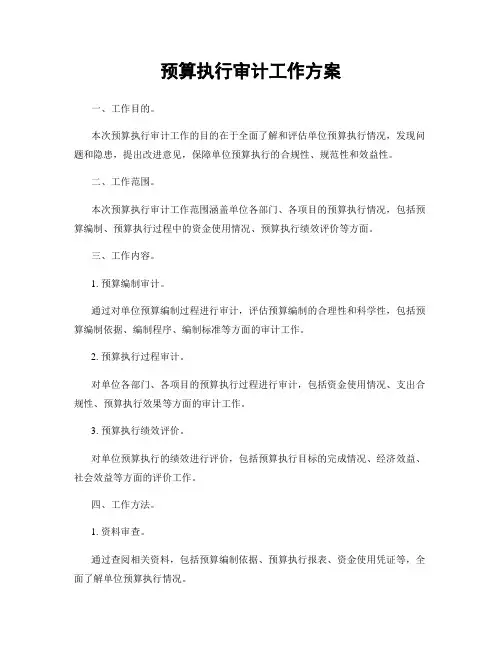 预算执行审计工作方案