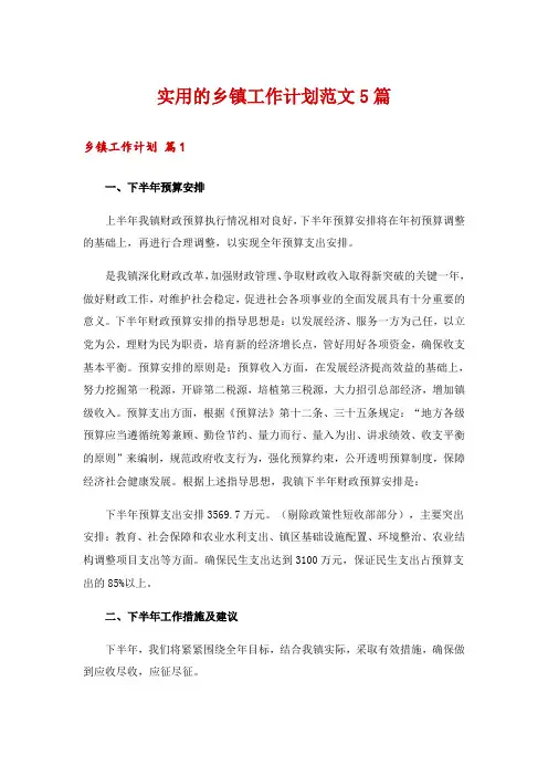 实用的乡镇工作计划范文5篇