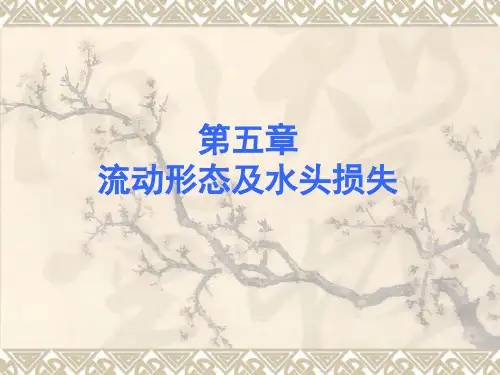 水力学课件第五章