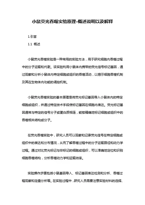小鼠荧光吞噬实验原理-概述说明以及解释
