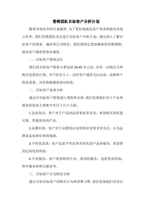 营销团队目标客户分析计划