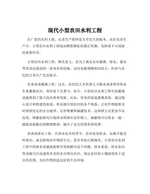 现代小型农田水利工程