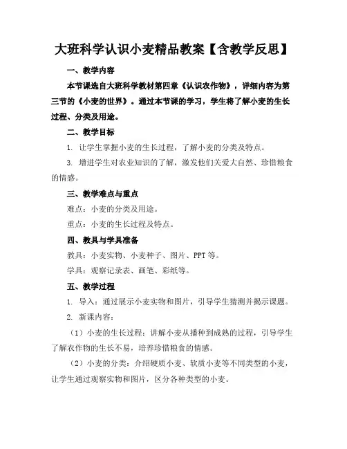 大班科学认识小麦精品教案【含教学反思】