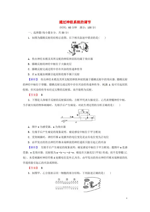 2016届高考生物总复习 通过神经系统的调节试题(含解析)