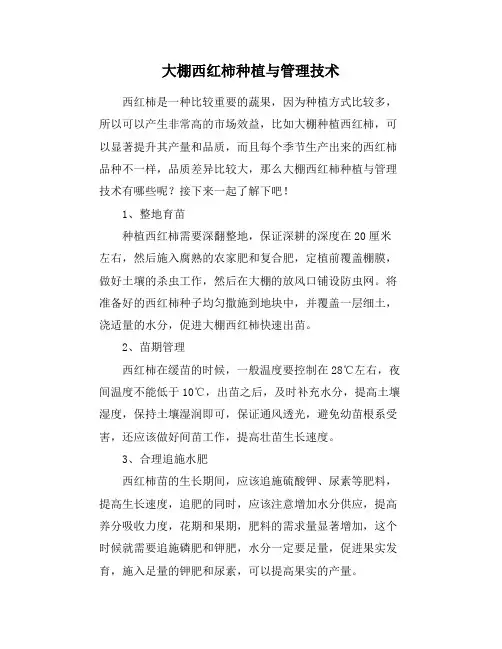 大棚西红柿种植与管理技术 2