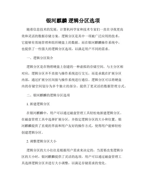 银河麒麟 逻辑分区选项