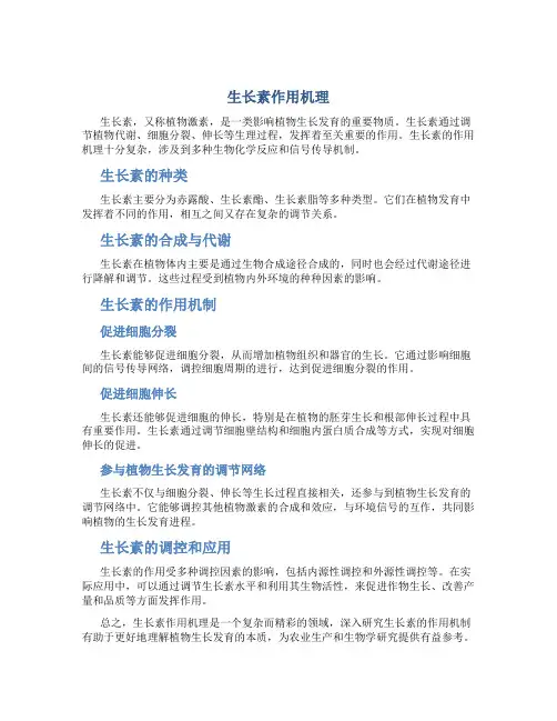生长素作用机理