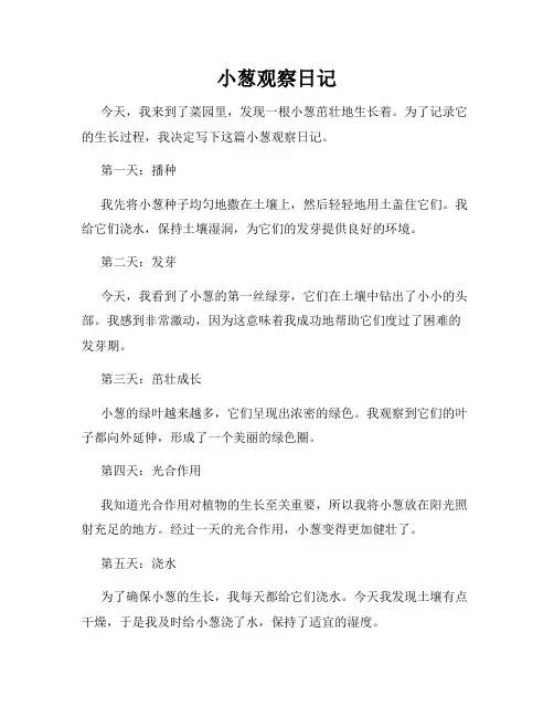 小葱观察日记