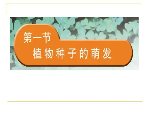 苏教版生物七上3.5.1 植物种子的萌发 说课课件(共33张PPT)