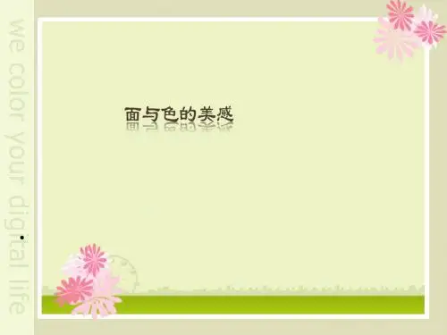 面与色的美感