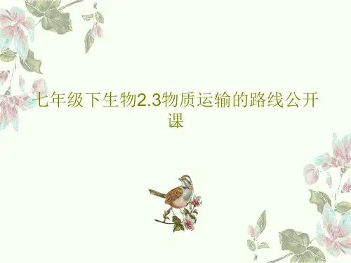 七年级下生物2.3物质运输的路线公开课PPT38页