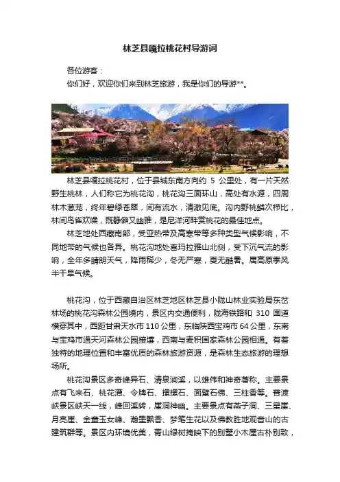 林芝县嘎拉桃花村导游词