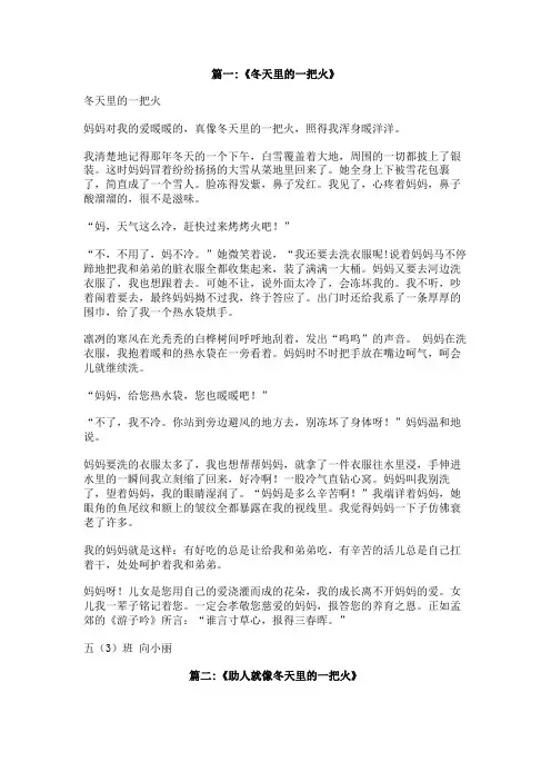冬天里的一把火作文