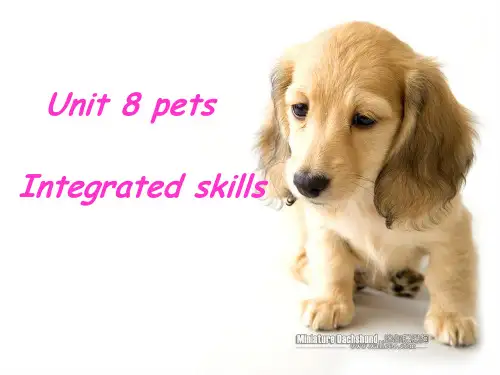 2021年牛津译林版七年级英语下册Unit 8 Integrated skills 精品课件.ppt