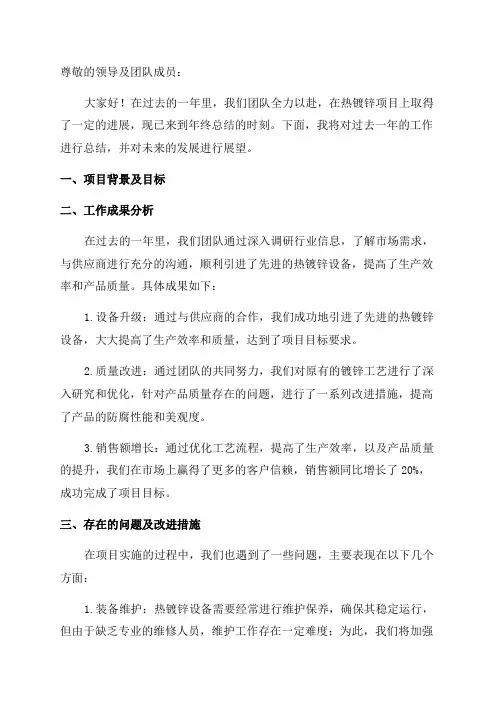 热镀锌项目年终总结报告