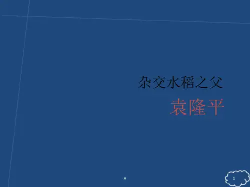 袁隆平简介PPT