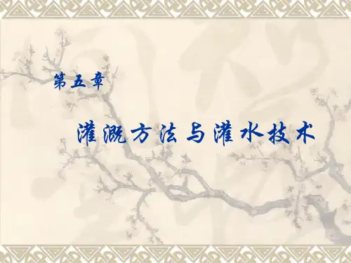 灌溉方法与灌水技术