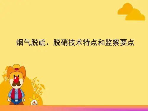 烟气脱硫、脱硝技术特点和监察要点
