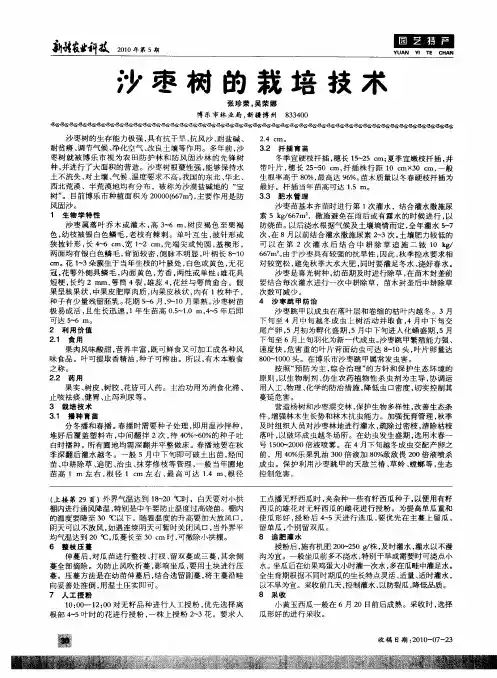 沙枣树的栽培技术