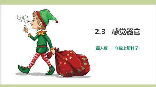 2.3 感觉器官(课件)-一年级科学上册(冀人版2024秋)
