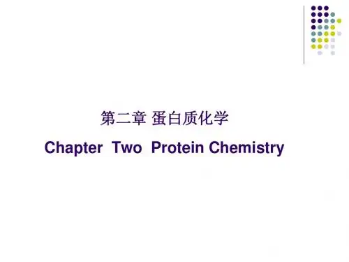 生物化学 第二章 蛋白质化学 上