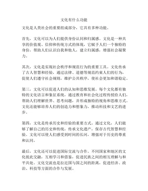 文化有什么功能