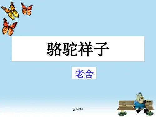 《骆驼祥子》名著赏析  ppt课件