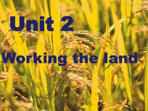 人教版高中英语必修四U2workinghelandP2Reading-精品