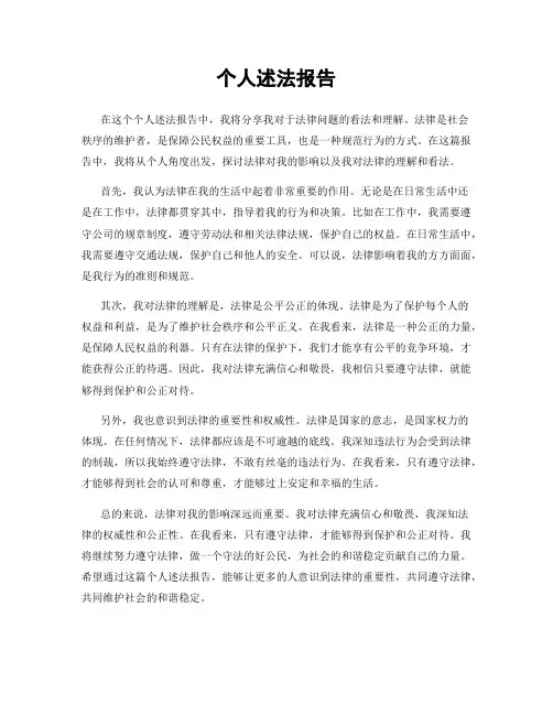 个人述法报告