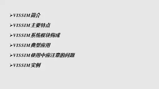 VISSIM实例讲解PPT课件