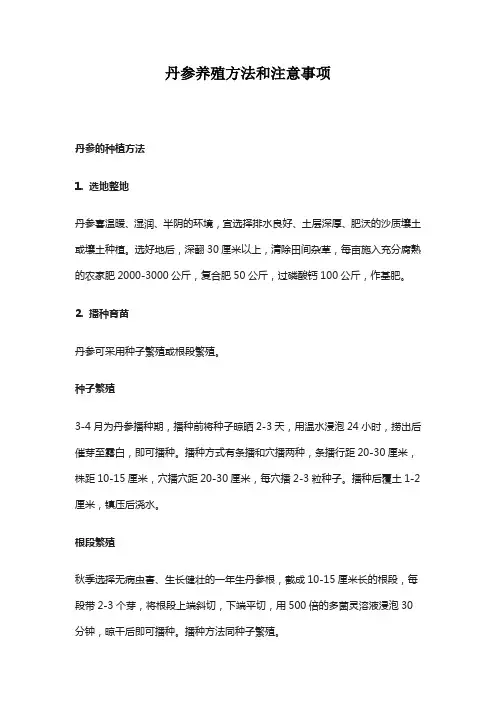 丹参养殖方法和注意事项