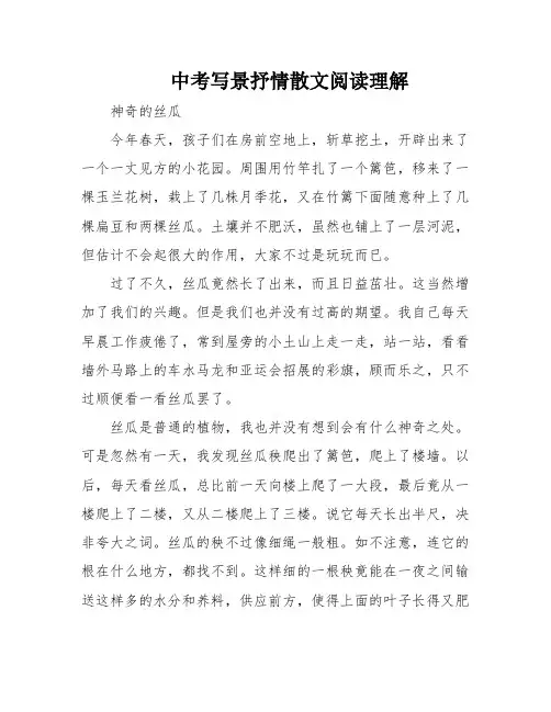 中考写景抒情散文阅读理解