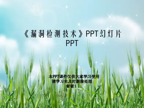 《漏洞检测技术》PPT幻灯片PPT