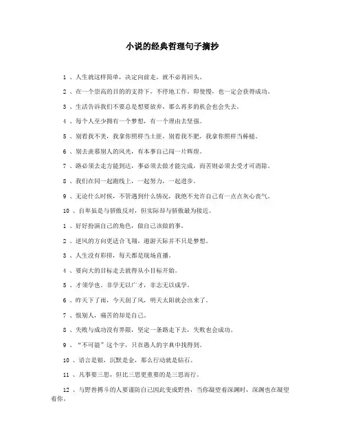 小说的经典哲理句子摘抄