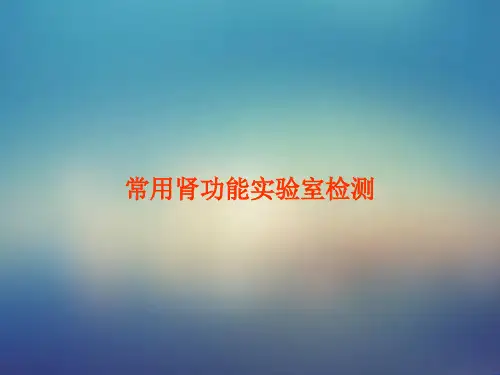 生化--肾脏疾病检验  图文