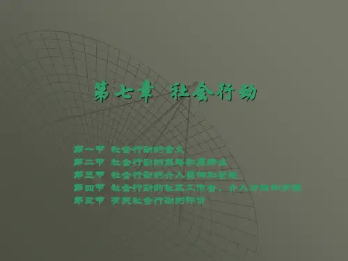 社区工作第七章  社会行动