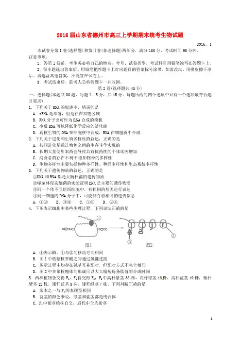 山东省德州市高三生物上学期期末统考试题