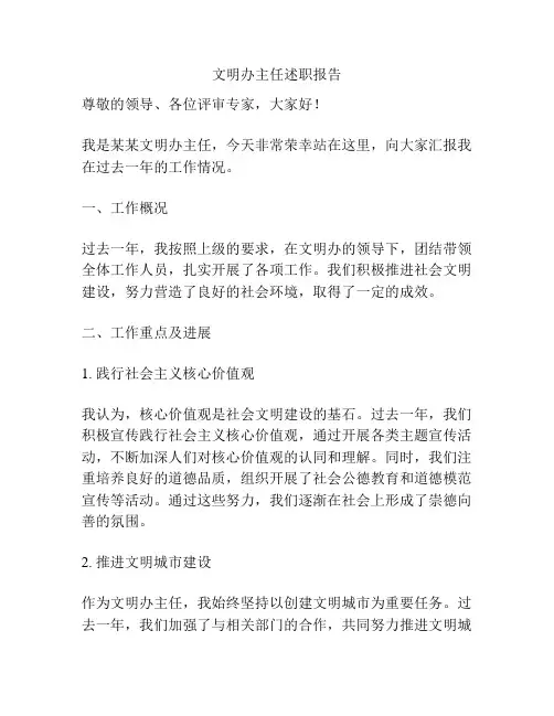 文明办主任述职报告