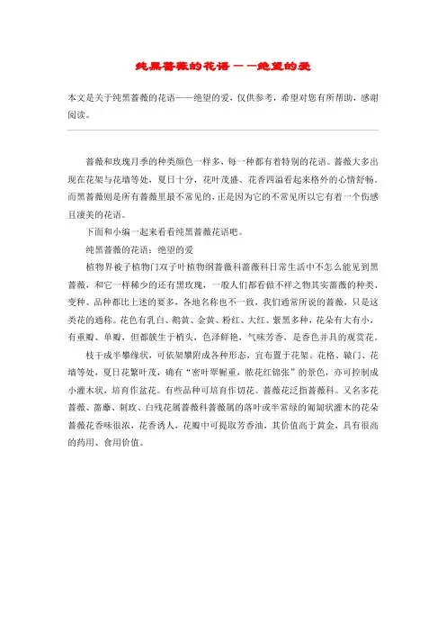 纯黑蔷薇的花语——绝望的爱
