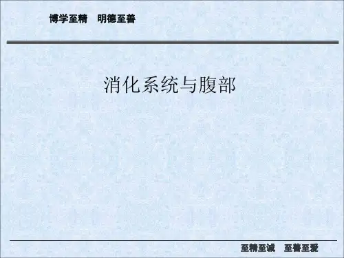 医学影像学课件：消化系统与腹部