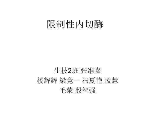 限制性内切酶