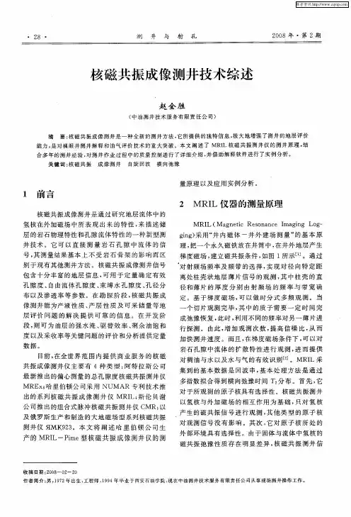 核磁共振成像测井技术综述