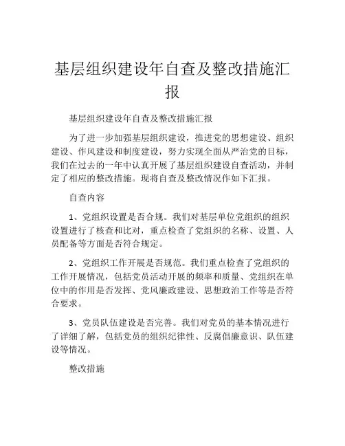 基层组织建设年自查及整改措施汇报